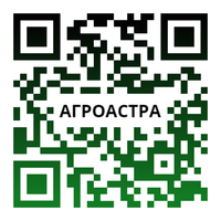Семена подсолнечника гибрид Эдванс F1 - Изображение #3, Объявление #1705498