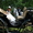 Покататься на лошадях в Ростове, прокат,карета, свадьба,подарок, отдых - Изображение #4, Объявление #11365