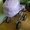 Детскую коляску-трансформер фирмы Geoby  - Изображение #3, Объявление #25733