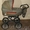 Детская коляска Inglesina Classic #27422