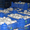 Продажа грибов: свежие шампиньоны со склада в г.Ростове-на-Дону - Изображение #3, Объявление #75357