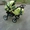 Продаю детскую коляску в отличном состоянии( Квик Лансер).  Эксплуатация 7 месяц - Изображение #2, Объявление #118732