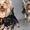 Продаются игривые щенки йоркширского терьера 2 месяца.  Шерсть шелковистая,  прав #176100