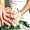 Свадебная фото-видеосъемка,банкеты,юбилеи - Изображение #1, Объявление #280161