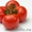  помидоры ростовские  #298854