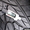 Шины 305-35 R24, Магазин шин, распродажа шины диски - Изображение #7, Объявление #349006