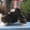Продам перспективный мальчик щенок  ши-тцу - Изображение #1, Объявление #388692