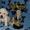 Элитные щенки лабрадор-ретривера - Изображение #1, Объявление #384405