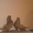 Продажа николаевских (торцевые, бабочка) мастных голубей - Изображение #5, Объявление #412172