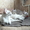 Сиамские котята (3 месяца, 3 кошки и 1 кот) - Изображение #1, Объявление #459685