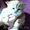 персидские котята красного окраса #480661