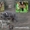 Веймарская легавая щенки #594435