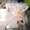 Новые свадебные платья и аксессуары для свадьбы по оптовым ценам от 3000 руб - Изображение #1, Объявление #587869