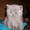 Британские котята маленькие  - Изображение #1, Объявление #562558