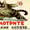 Котята-полуперсы - Изображение #4, Объявление #692948