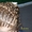 Плетение различной сложности кос - Изображение #5, Объявление #711405