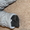 Детский зимний костюм с пуховой подстежкой - Изображение #3, Объявление #957150