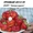 Саженцы клубники(не усы)новейшего крупноплодного  сорта Чамора Куруси-почтой... - Изображение #3, Объявление #1105889
