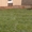 Рулонный газон под ключ с гарантией или все включено - Изображение #2, Объявление #1311546