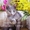 Holly Sheer Love - русский голубой котенок от Чемпиона Мира WCF в Краснодаре #1395115