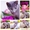 Holly Sheer Love - русский голубой котенок от Чемпиона Мира WCF в Краснодаре - Изображение #3, Объявление #1395115