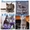 Iris Sheer Love - русский голубой котенок от Чемпиона Мира WCF в Краснодаре - Изображение #3, Объявление #1458752