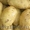 Семенной картофель из Беларуси в Ростове #1599954