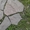 Песчаник Серо-зеленый Дракон природный камень натуральный рваный #1602483