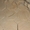 брусчатка из песчаника эксклюзивная  - Изображение #1, Объявление #1644925