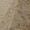 окатанная брусчатка из песчаника природного   - Изображение #2, Объявление #1644924