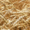 Семена озимой пшеницы ЭС/РС1/РС2 #1683413
