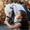 лошади в Ростове,обучение, верховая езда, прокат,карета, свадьба,подар - Изображение #2, Объявление #11359