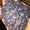 Семена подсолнечника гибрид Эдванс F1 - Изображение #5, Объявление #1705498