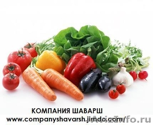 Оптовая продажа овощей от 20 тонн, от 100 тонн - Изображение #1, Объявление #298056