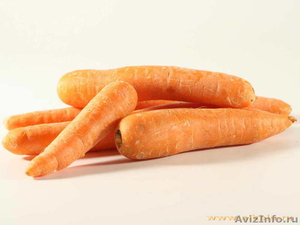 Морковь  - Изображение #1, Объявление #304648