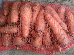 Морковь по цене 6,00 руб/кг - Изображение #1, Объявление #463823