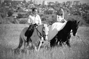 Покататься на лошадях в Ростове, прокат,карета, свадьба,подарок, отдых - Изображение #5, Объявление #11365