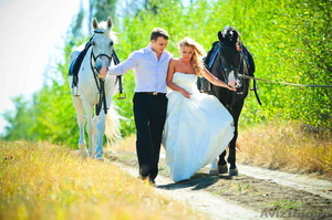 Покататься на лошадях в Ростове, прокат,карета, свадьба,подарок, отдых - Изображение #7, Объявление #11365