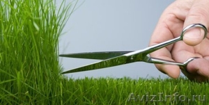 Покос травы ,Стрижка газона. - Изображение #1, Объявление #276156