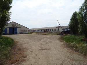 Ферма в Краснодарском крае - Изображение #2, Объявление #978633