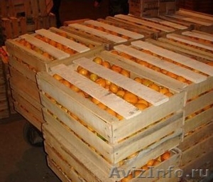 Мандарины оптом , мандарины оптом из Абхазии, любой из этих - Изображение #4, Объявление #1185027