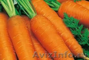 морковь и лук  морковь и лук - Изображение #1, Объявление #1327896