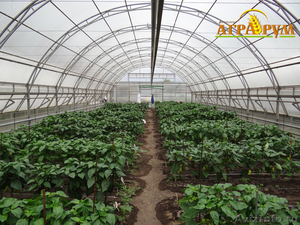 Курс "Технология выращивания овощных культур в защищённом грунте" - Изображение #1, Объявление #1517611