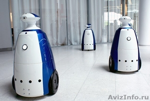 Рекламный робот Аренда - Изображение #5, Объявление #1642360