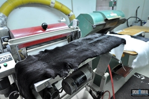 Завод по производству искусственного и шерстяного меха - Изображение #1, Объявление #1725404